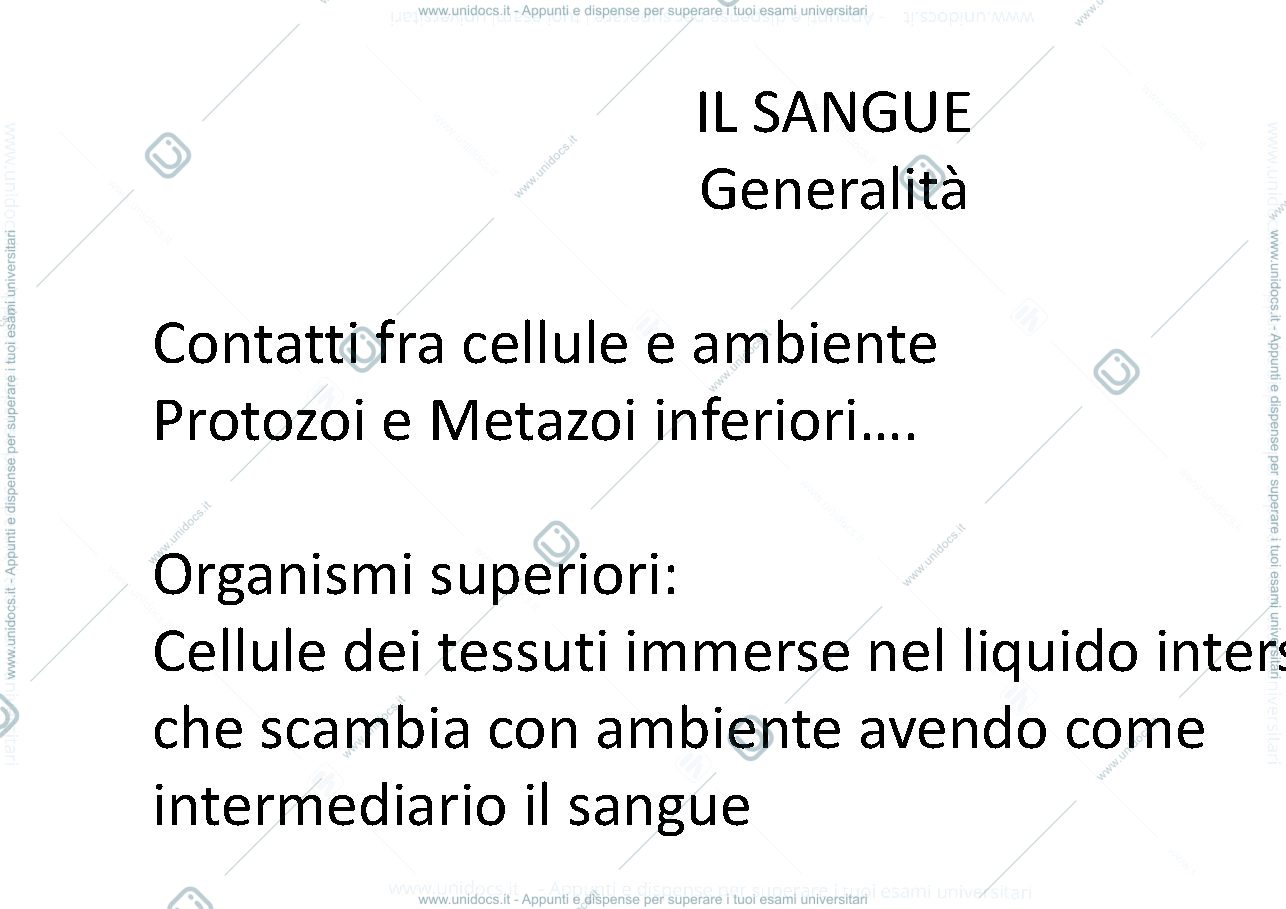 Anteprima pagina 1 — sangue   