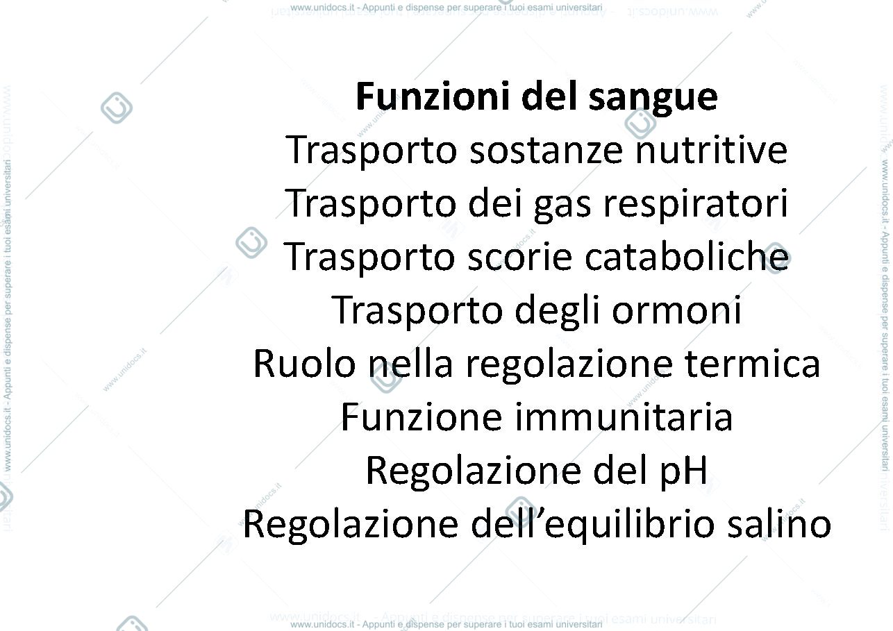 Anteprima pagina 2 — sangue   