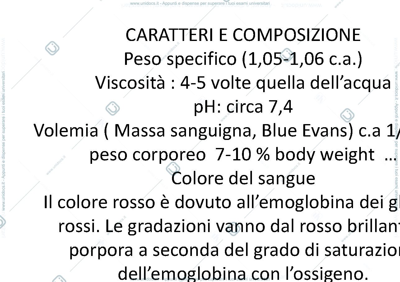 Anteprima pagina 3 — sangue   