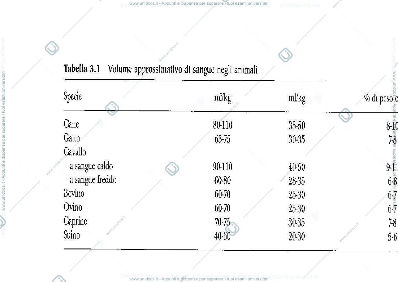 Anteprima pagina 4 — sangue   