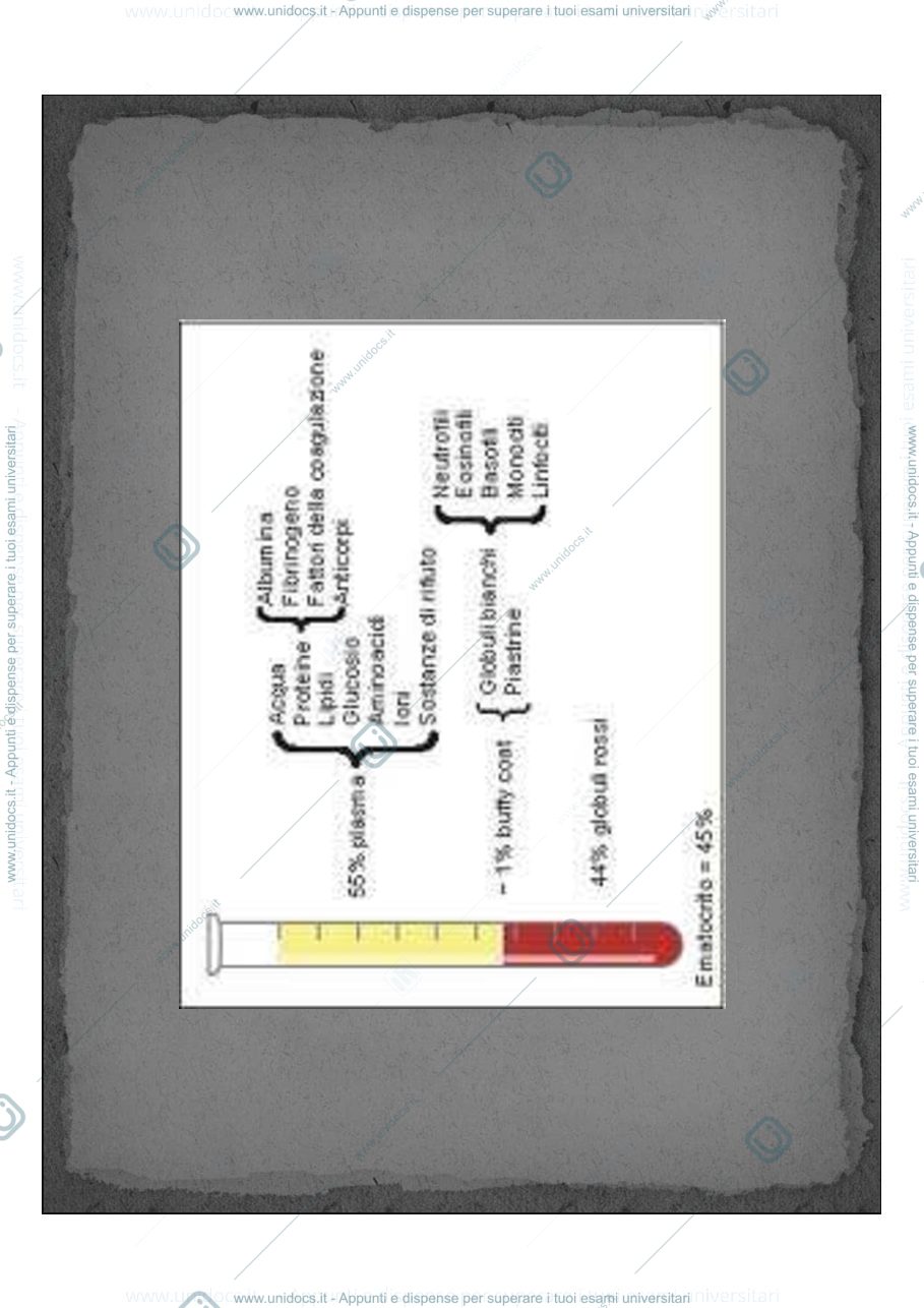 Anteprima pagina 4 — Emoderivati e trasfusione