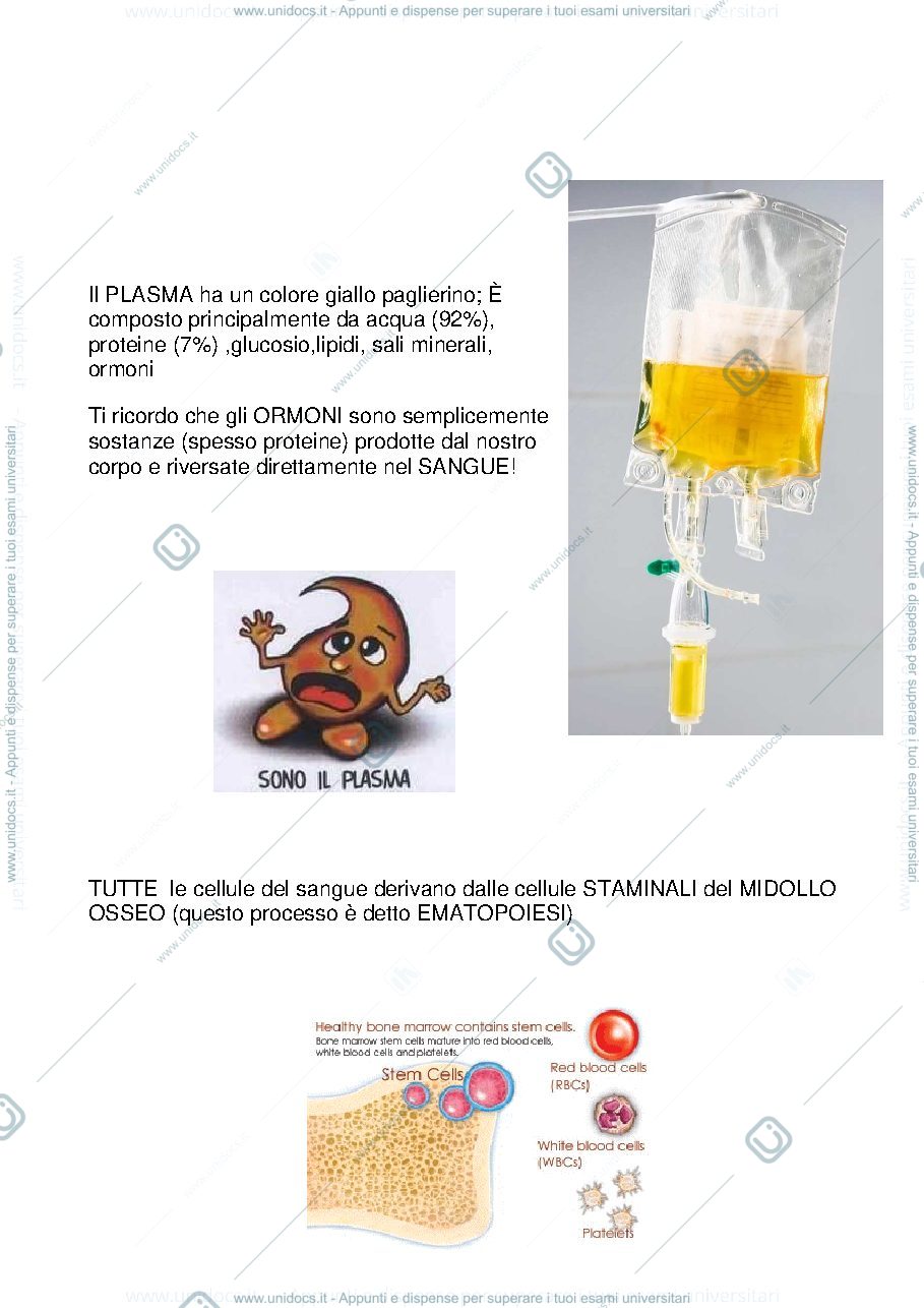 Anteprima pagina 2 — Il_Sangue