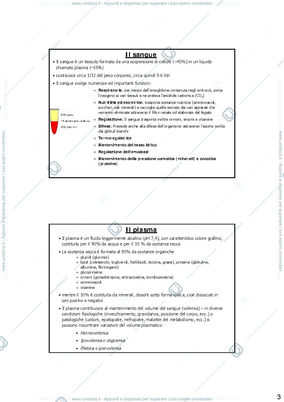 Anteprima pagina 3 — lezione-emocromo