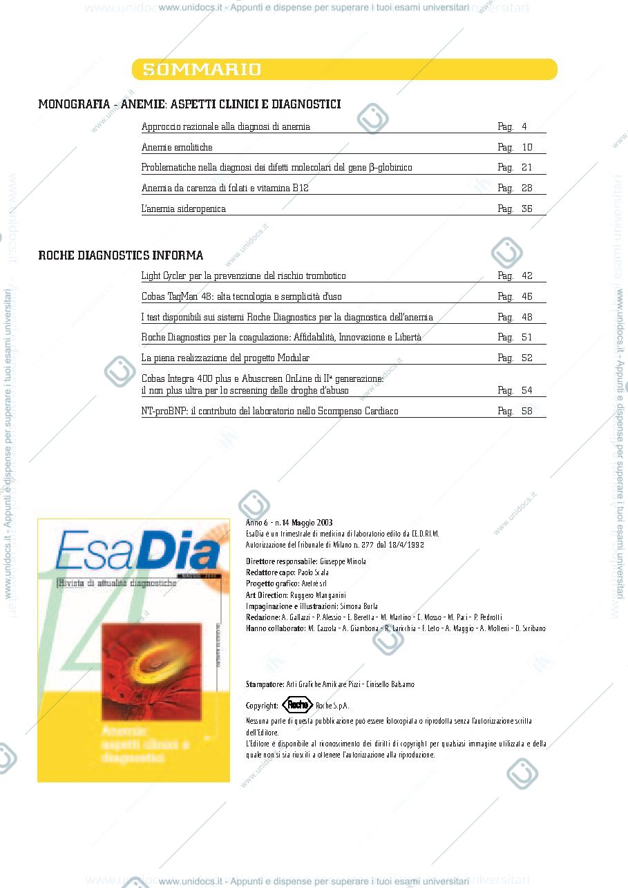 Anteprima pagina 3 — anemie