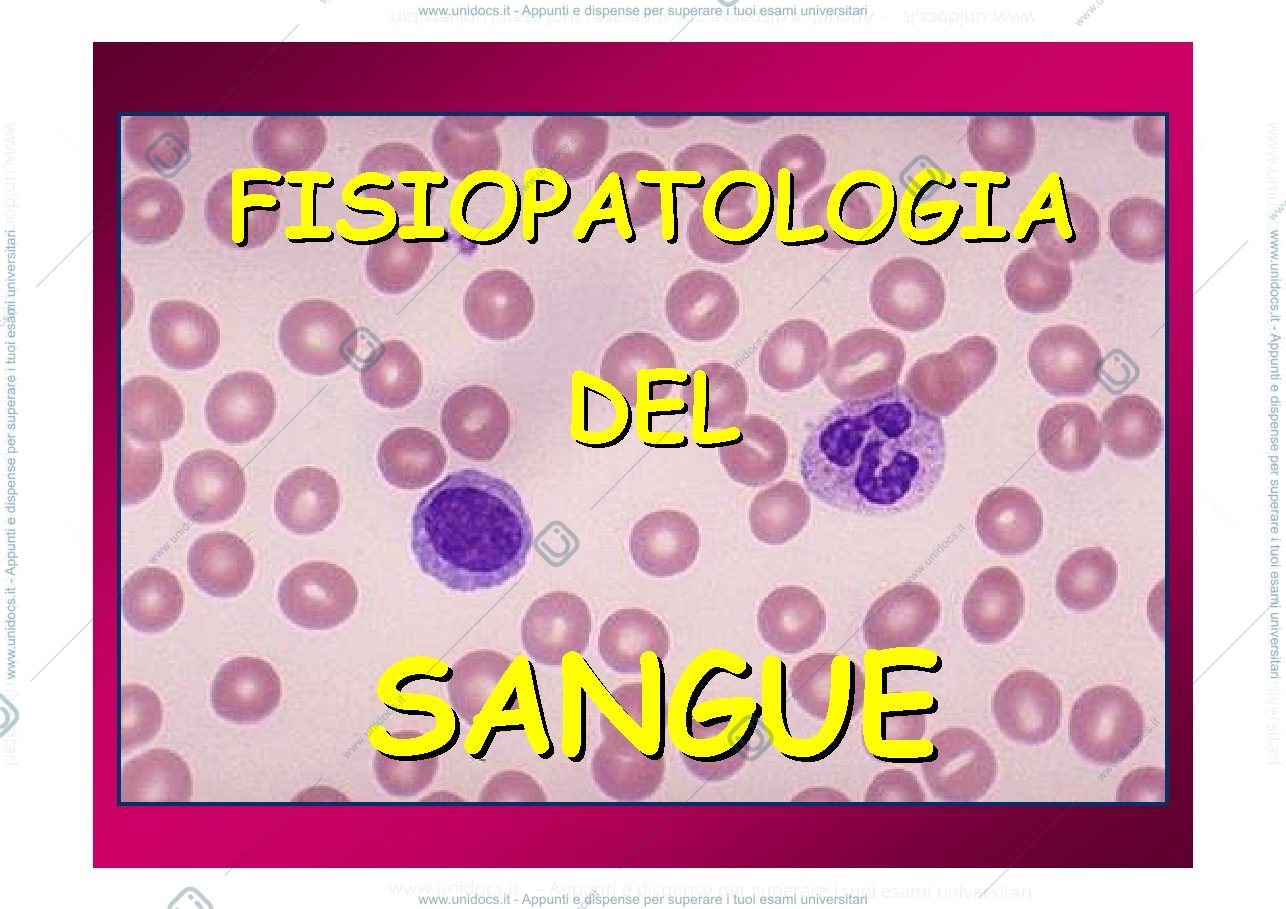 Anteprima pagina 1 — Fisiopatologia_del_SANGUE_-_Eritrociti