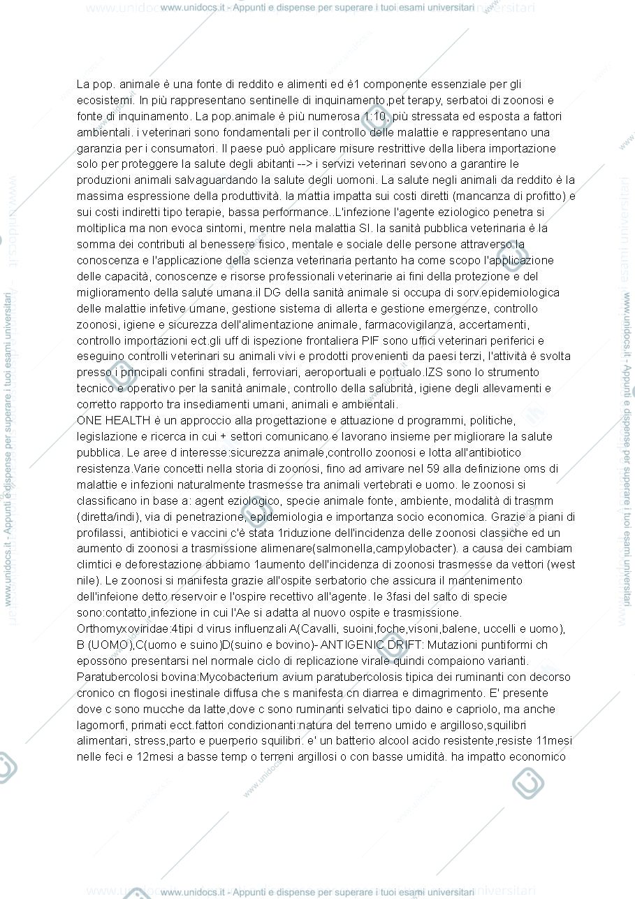 Anteprima pagina 1 — Appunti ostanello
