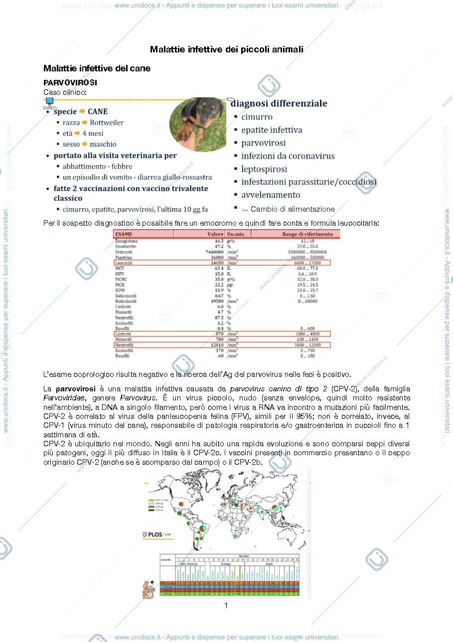 Anteprima pagina 1 — Malattie infettive dei piccoli animali