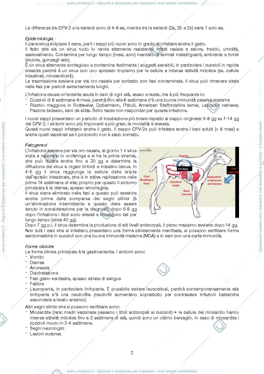 Anteprima pagina 2 — Malattie infettive dei piccoli animali
