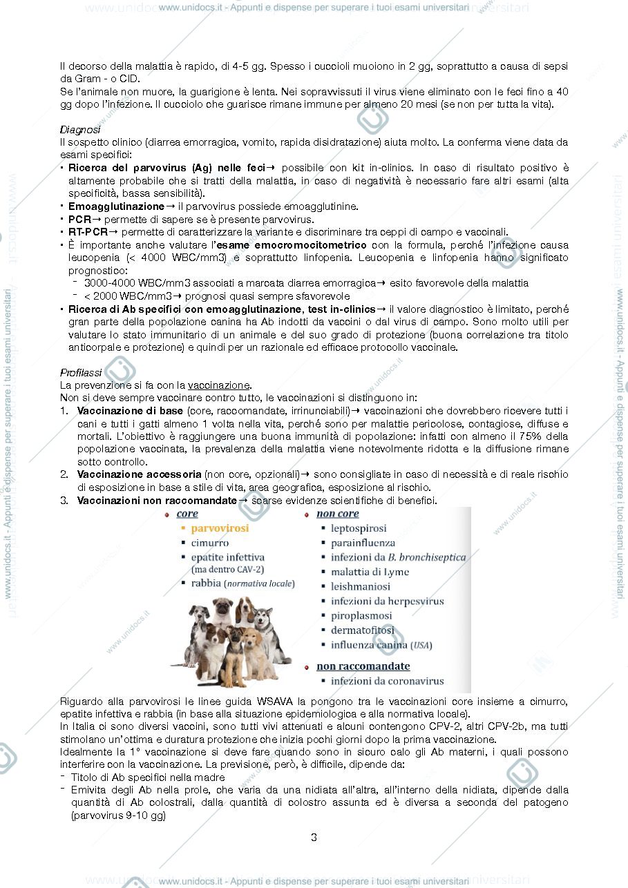 Anteprima pagina 3 — Malattie infettive dei piccoli animali