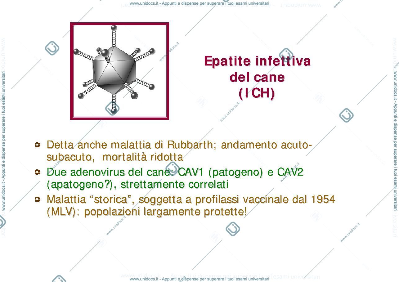 Anteprima pagina 2 — Corso di Malattie Infettive II