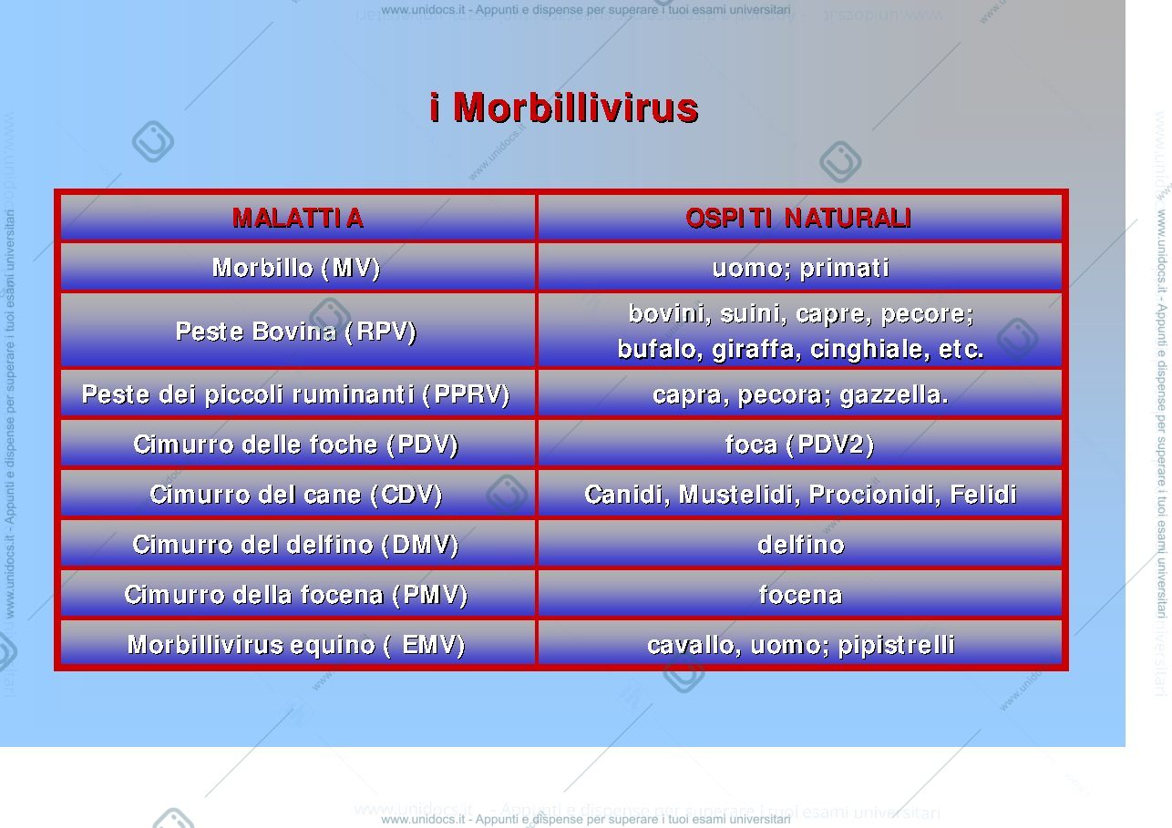 Anteprima pagina 2 — Corso di Malattie Infettive II