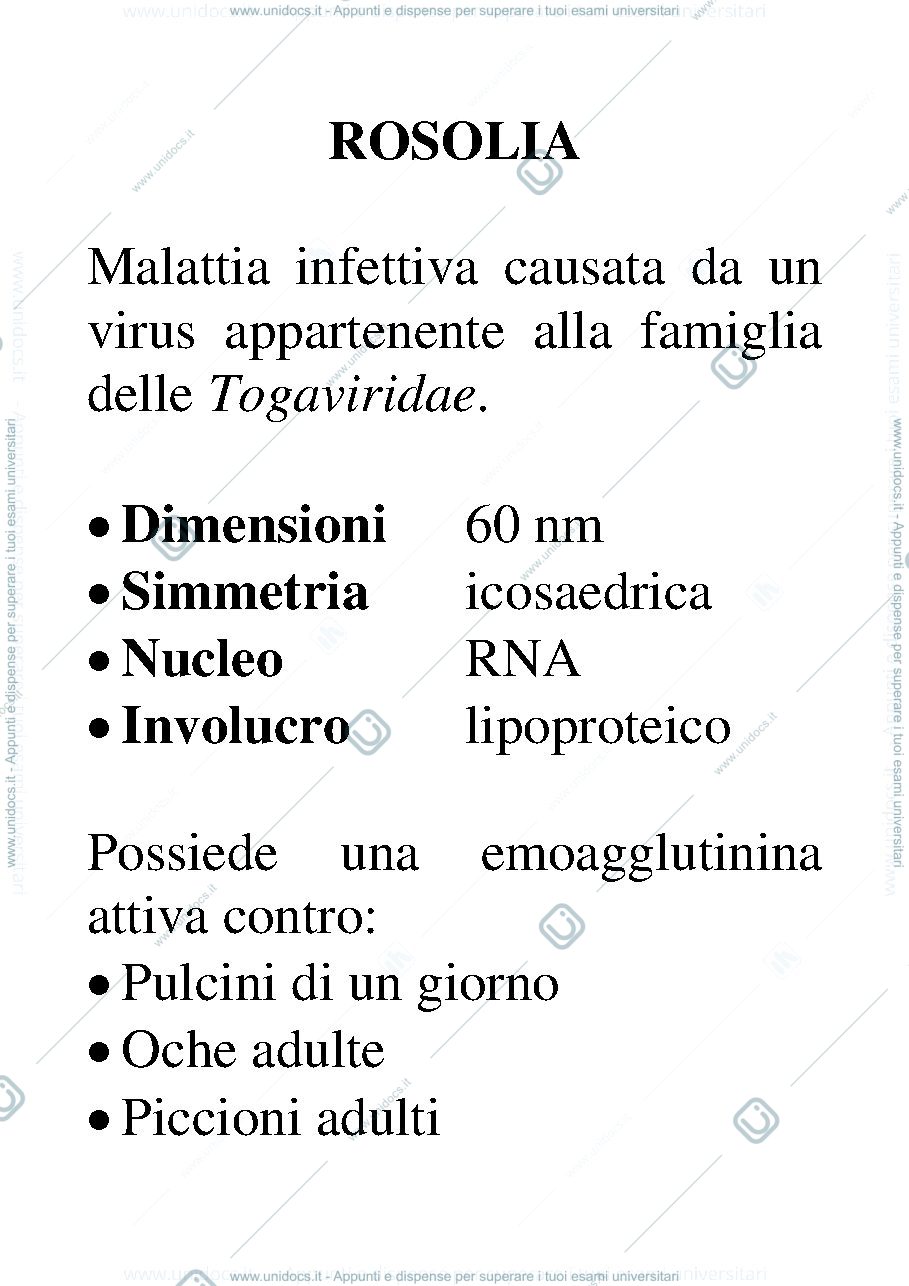 Anteprima pagina 1 — ROSOLIA