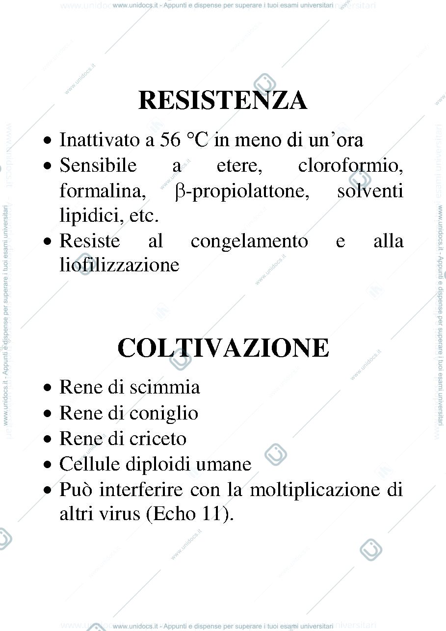 Anteprima pagina 2 — ROSOLIA