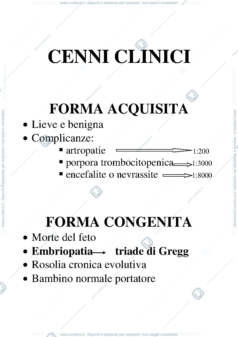 Anteprima pagina 3 — ROSOLIA