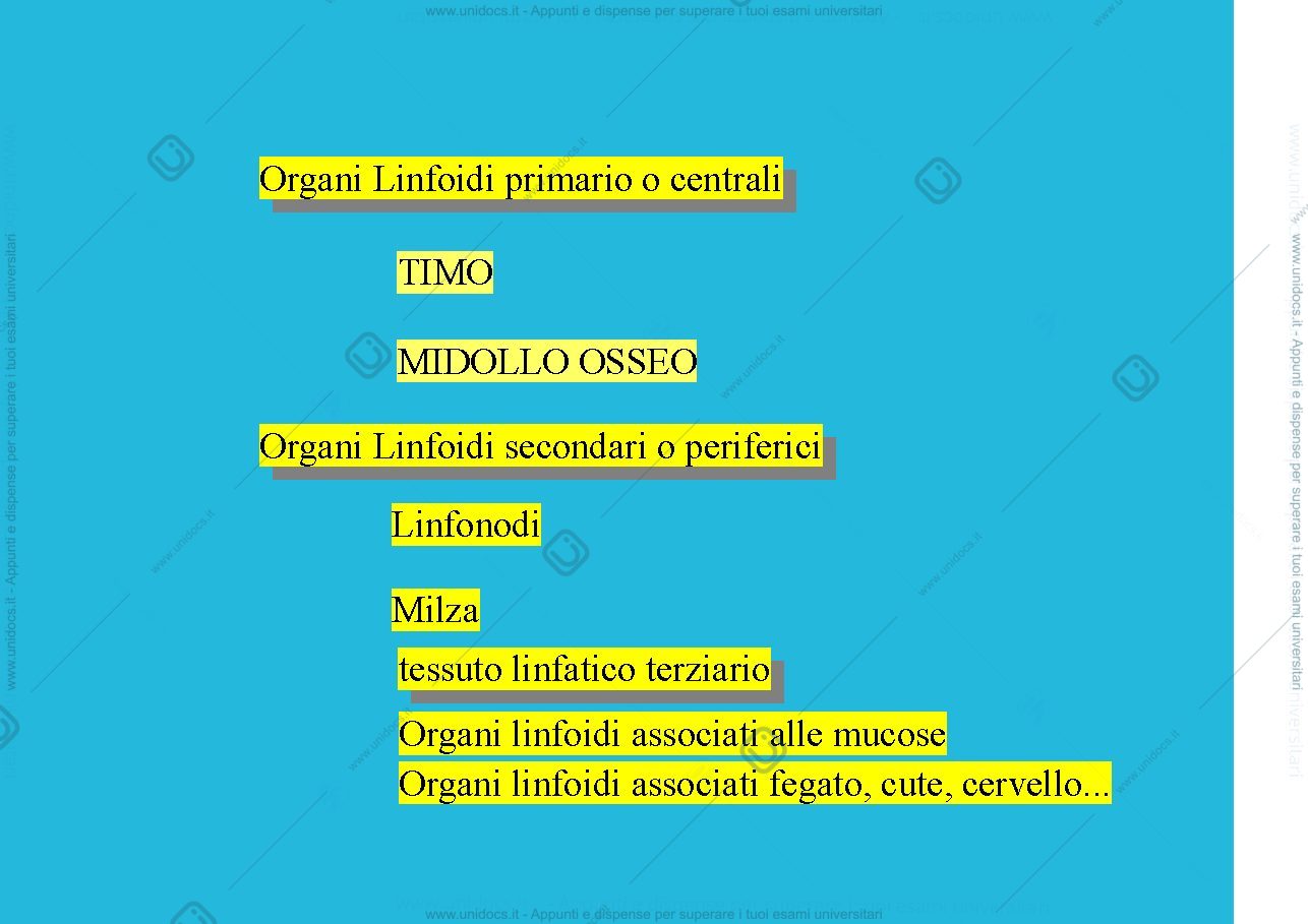 Anteprima pagina 1 — linfoidi