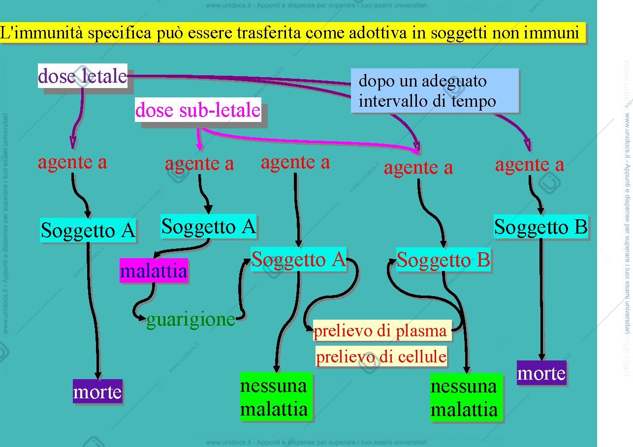 Anteprima pagina 1 — Anticorpi