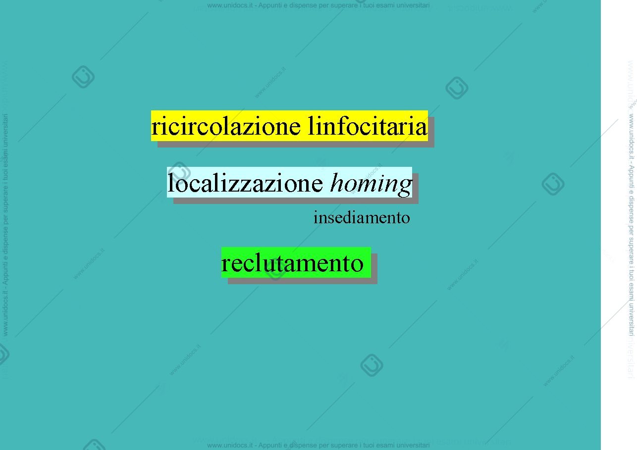 Anteprima pagina 3 — antigeni e adiuvanti