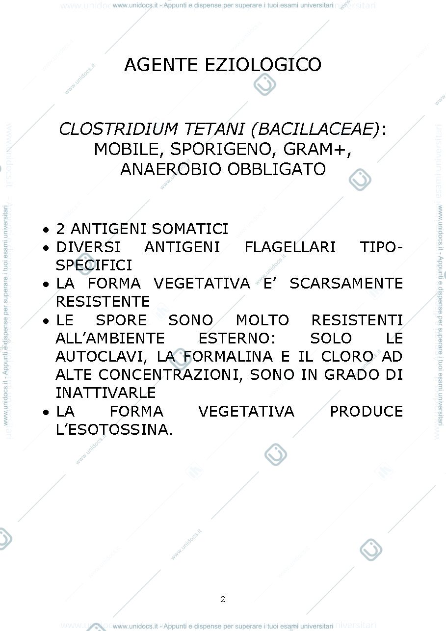 Anteprima pagina 2 — TETANO