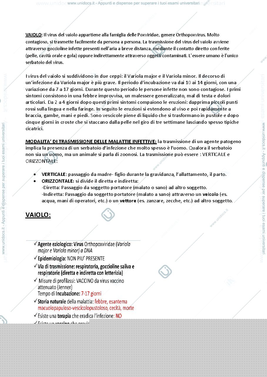 Anteprima pagina 1 — IL VAIOLO