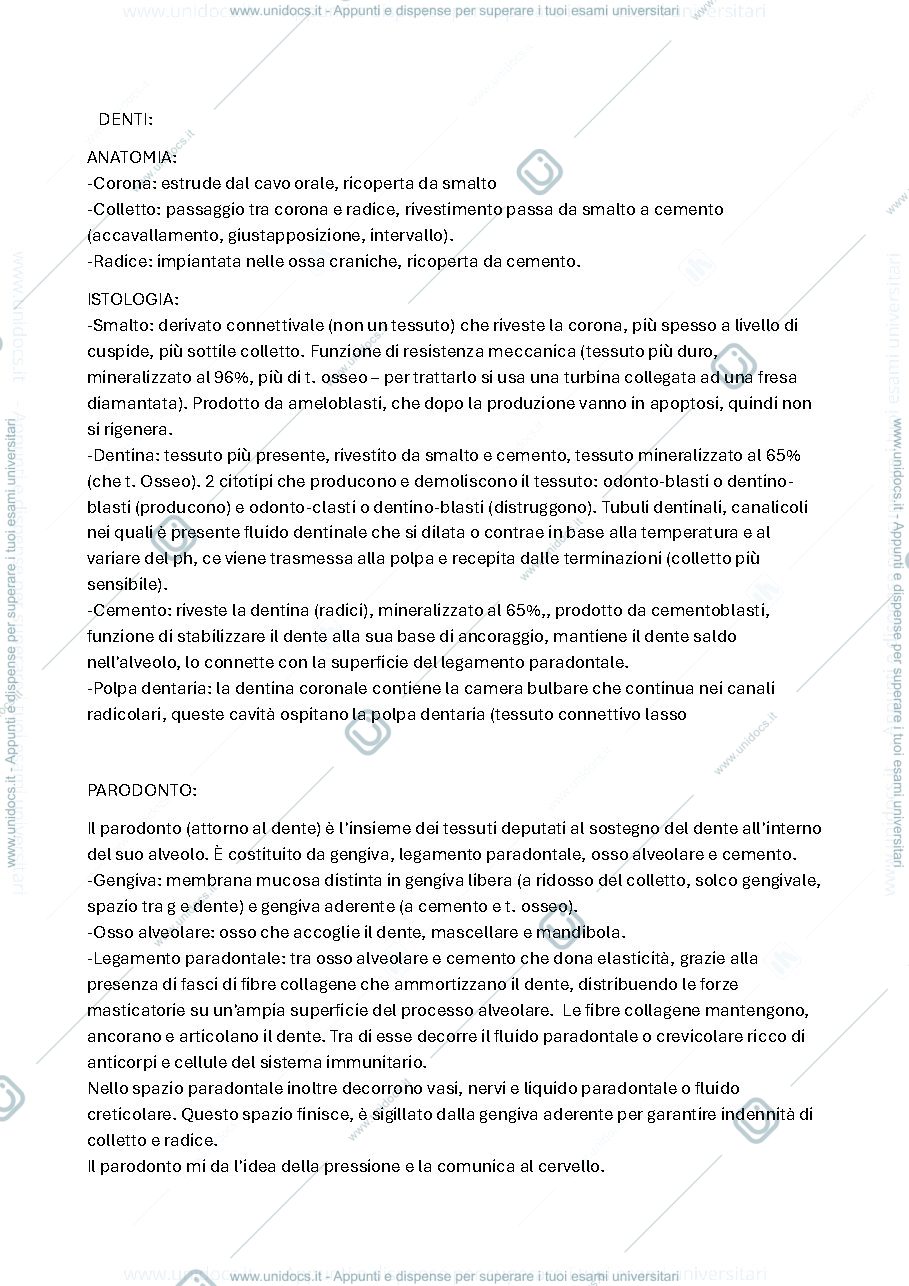 Anteprima pagina 1 — Odontostomatologia