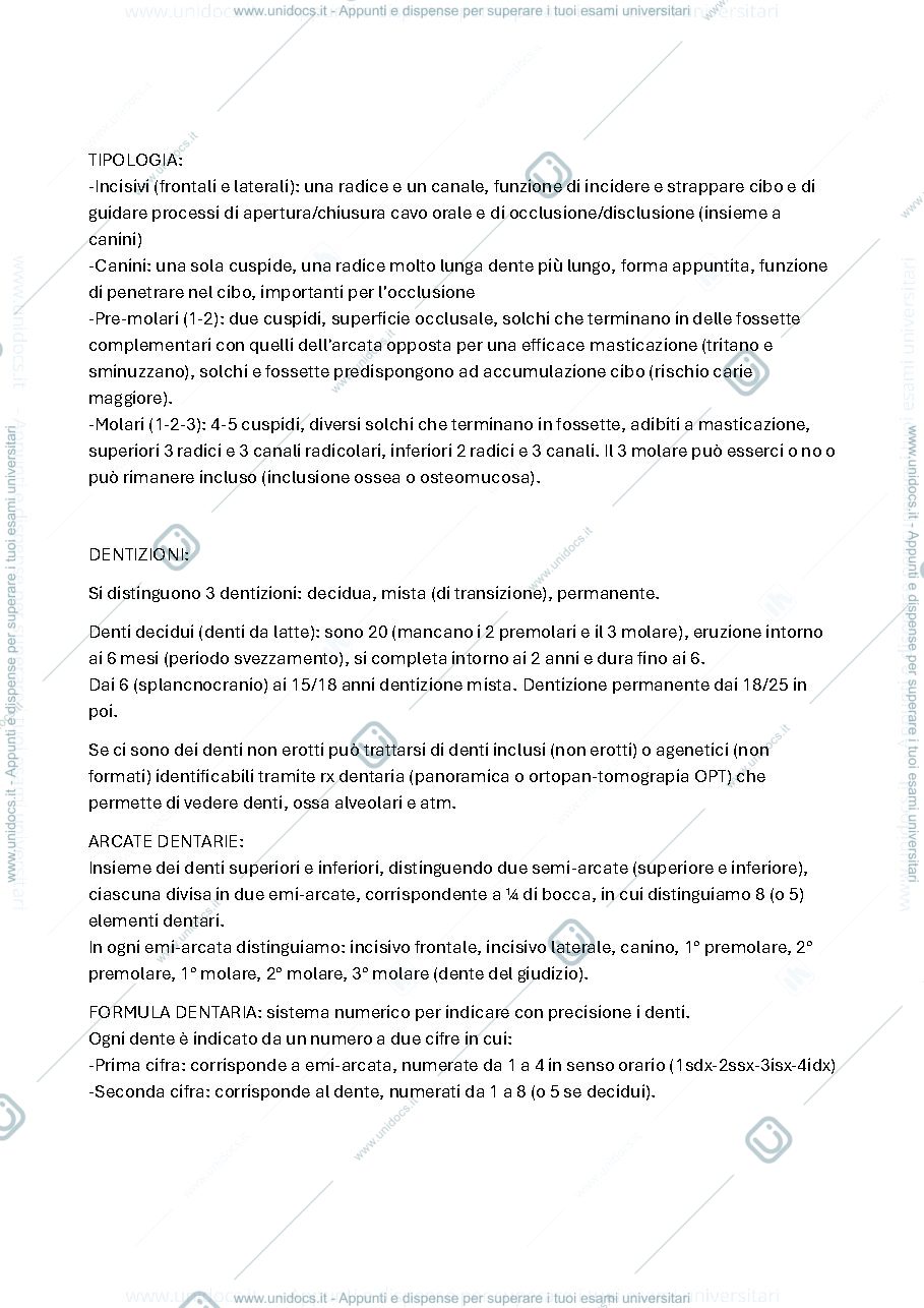 Anteprima pagina 2 — Odontostomatologia