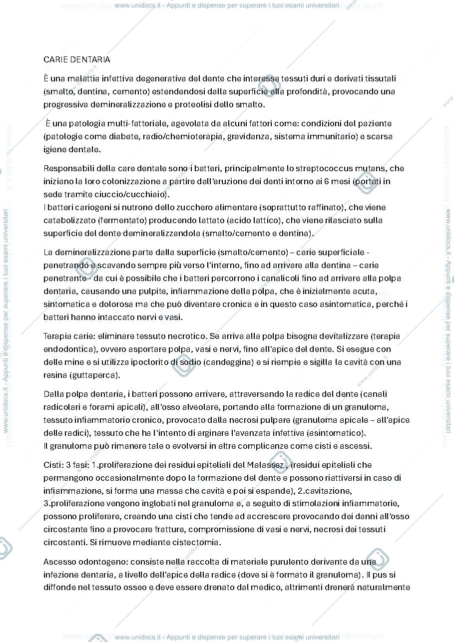 Anteprima pagina 3 — Odontostomatologia
