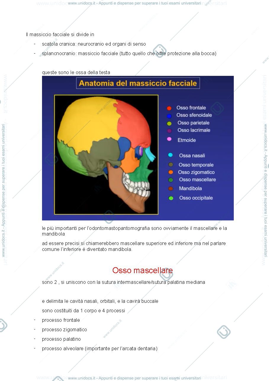 Anteprima pagina 2 — malattie odontomastologiche
