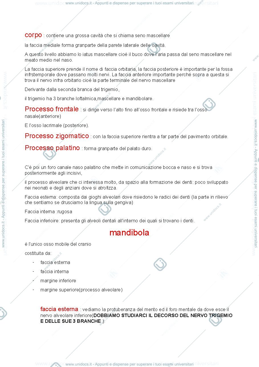 Anteprima pagina 3 — malattie odontomastologiche