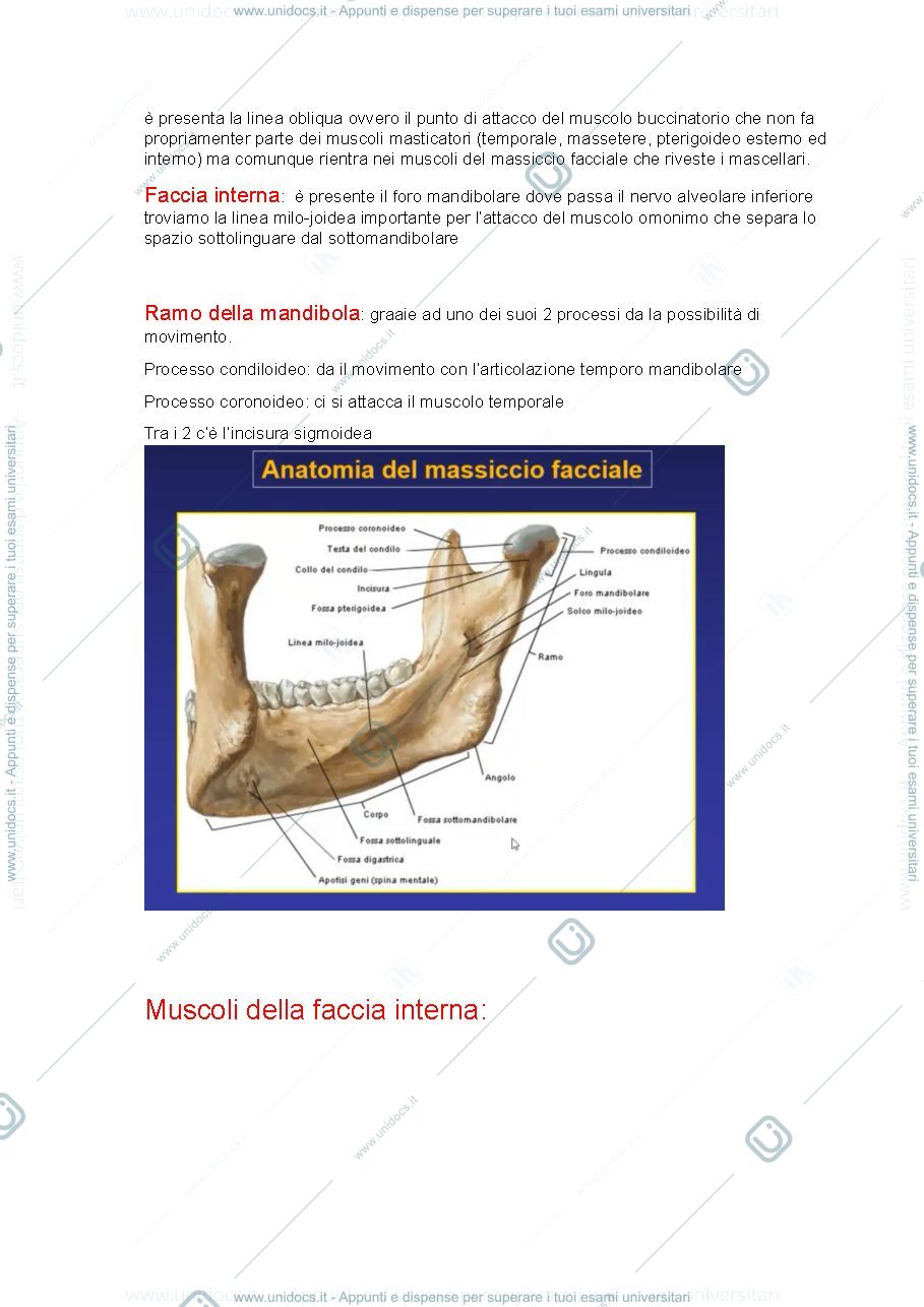 Anteprima pagina 4 — malattie odontomastologiche
