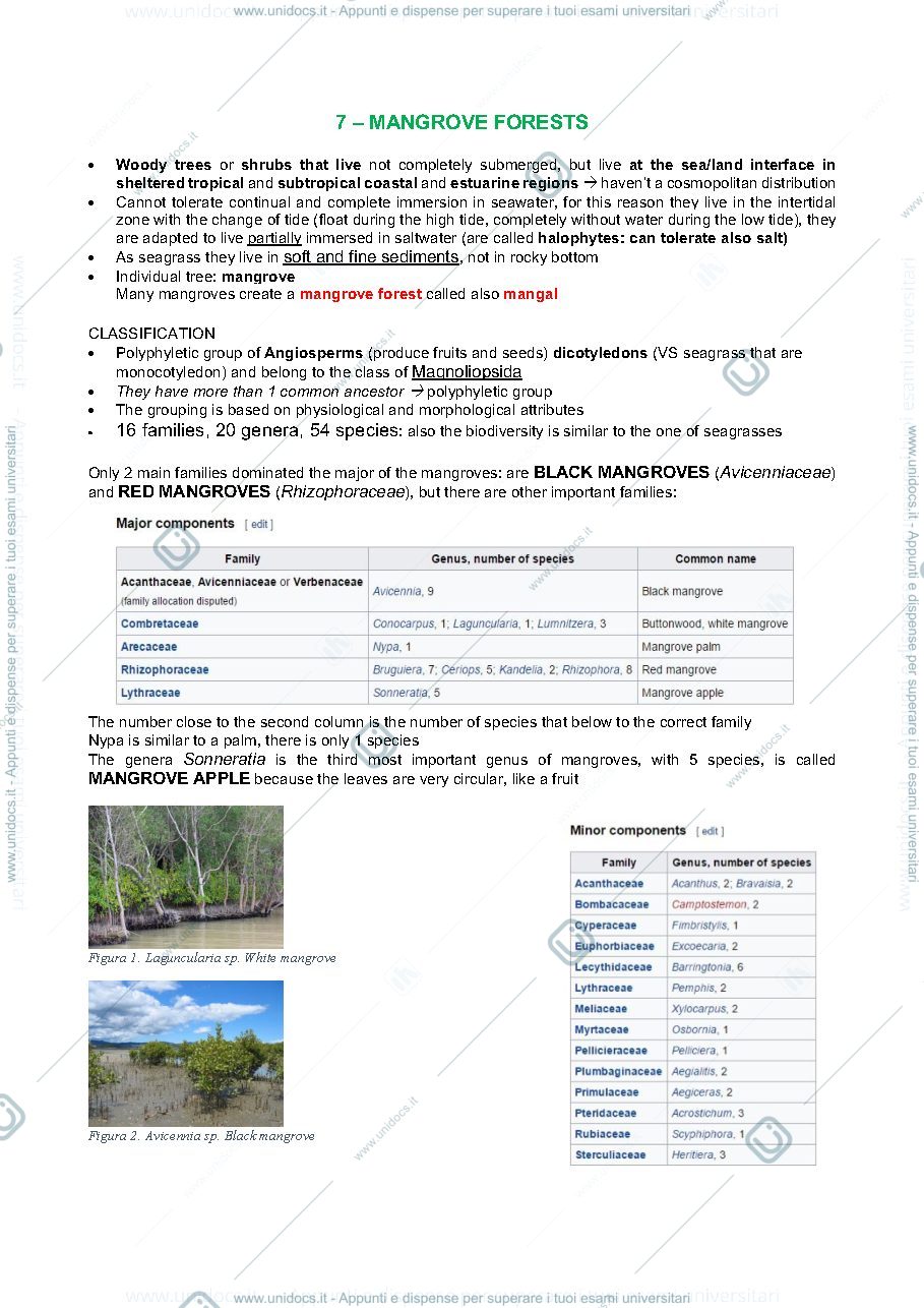Anteprima pagina 1 — Appunti mangroves 