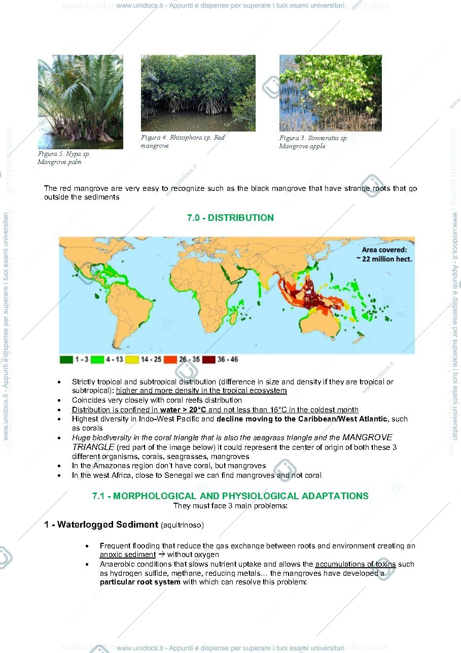 Anteprima pagina 2 — Appunti mangroves 