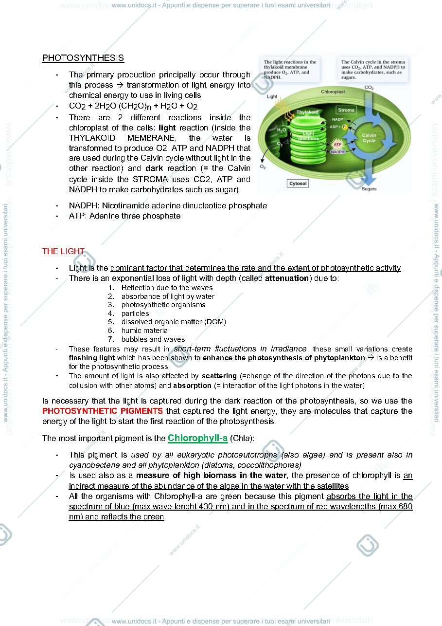 Anteprima pagina 2 — Appunti primary production 