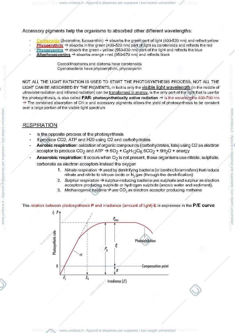 Anteprima pagina 3 — Appunti primary production 