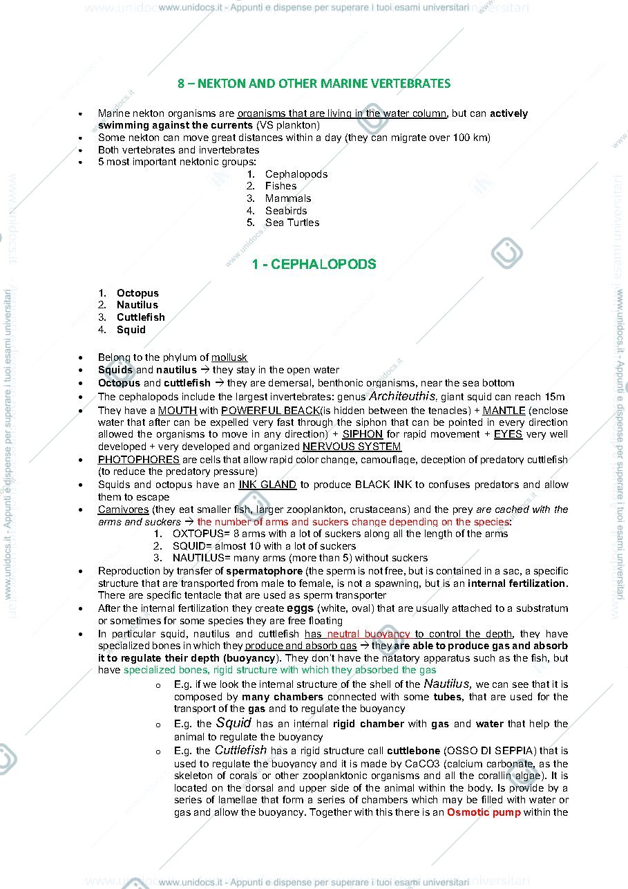Anteprima pagina 1 — Appunti nekton 