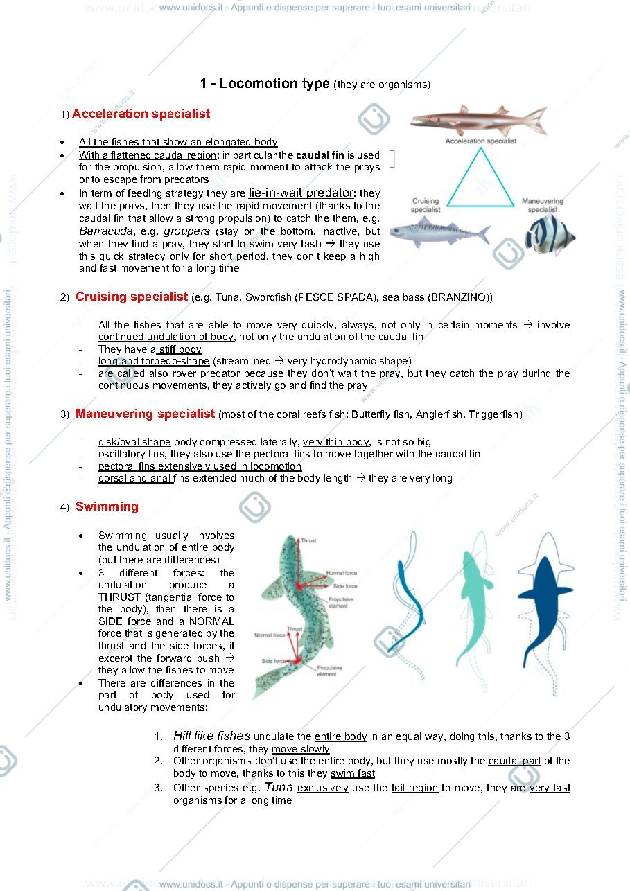 Anteprima pagina 3 — Appunti nekton 