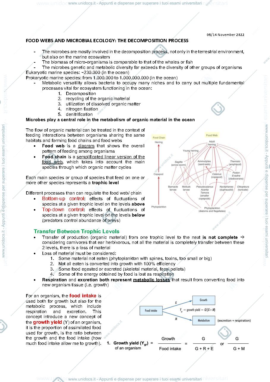 Anteprima pagina 1 — Appunti food webs 