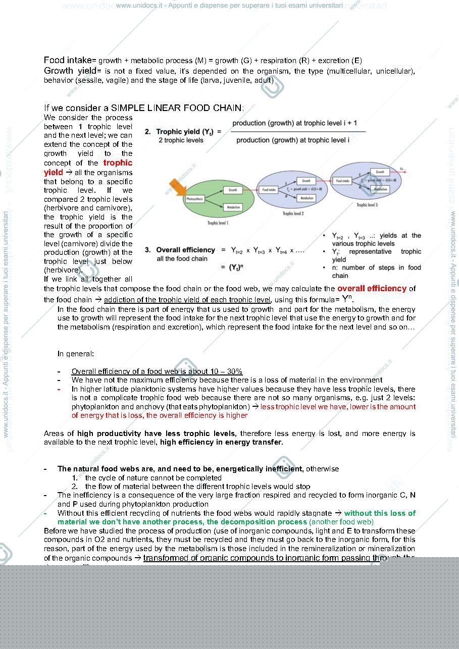 Anteprima pagina 2 — Appunti food webs 