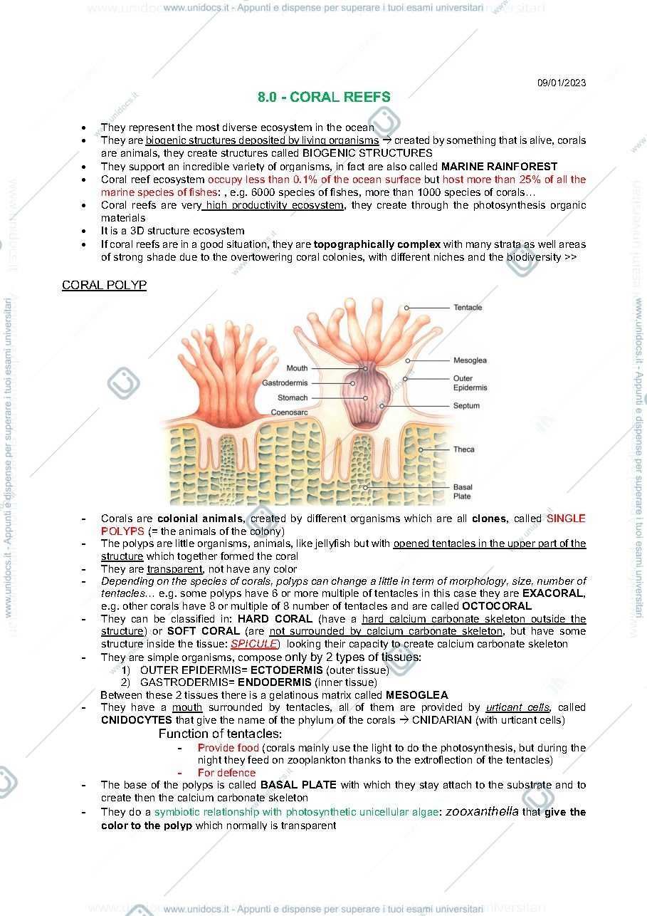Anteprima pagina 1 — Appunti coral reef (tutorial)