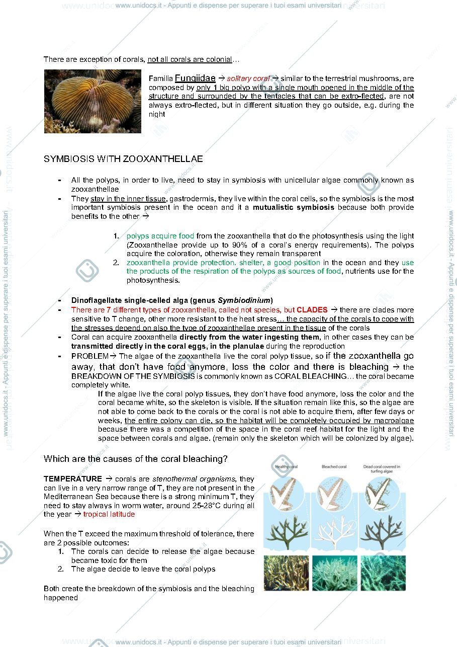 Anteprima pagina 2 — Appunti coral reef (tutorial)