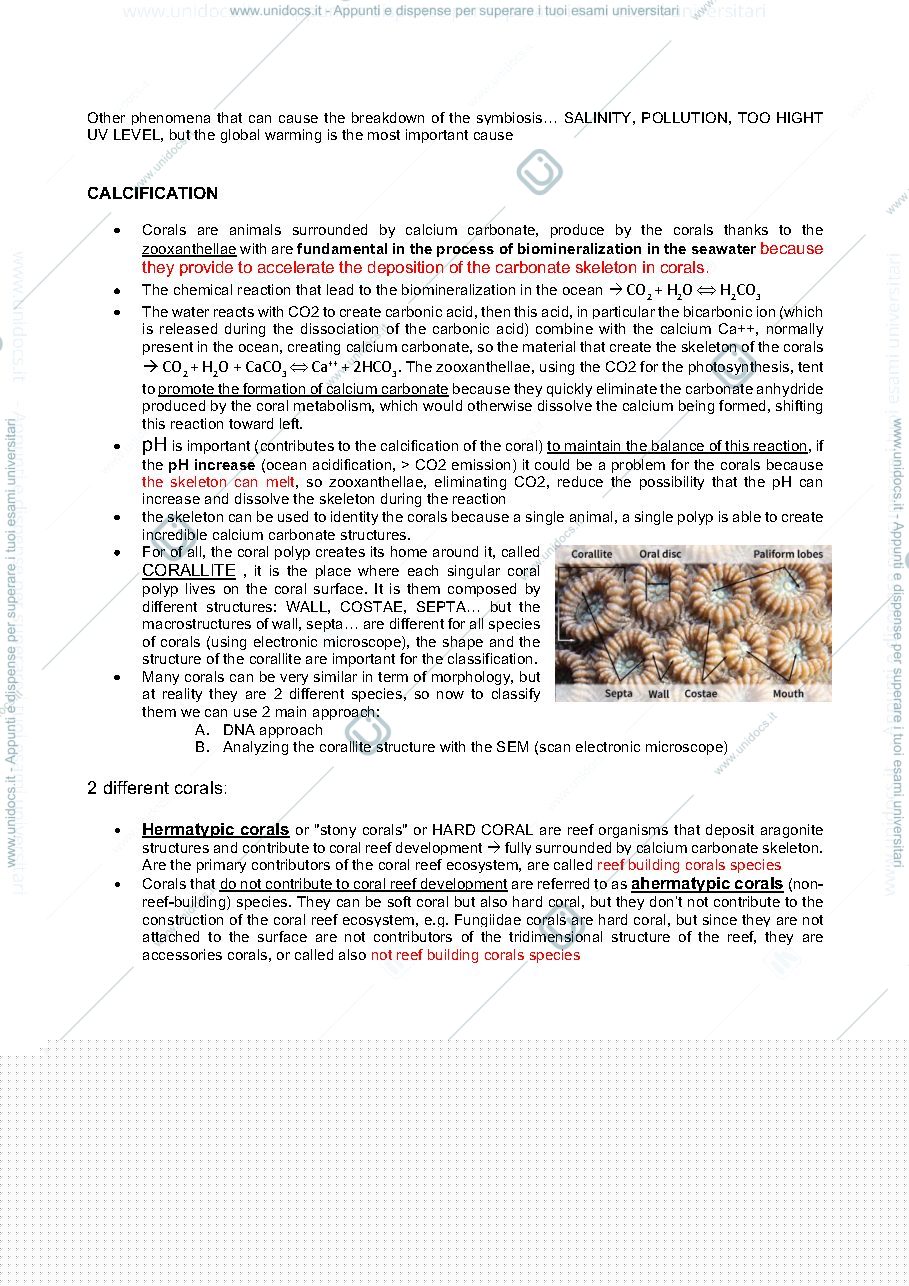 Anteprima pagina 3 — Appunti coral reef (tutorial)