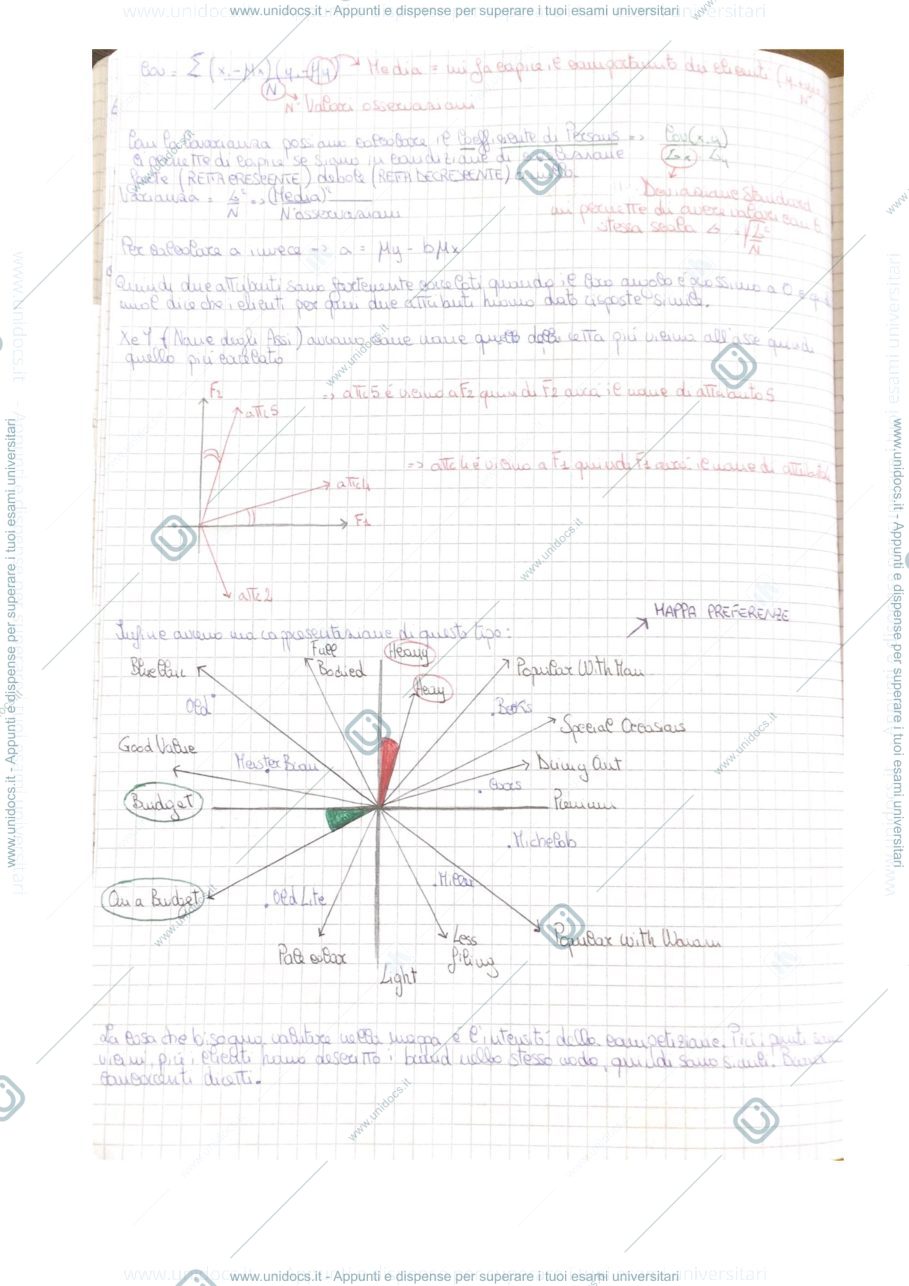 Anteprima pagina 3 — Marketing e customer analysis