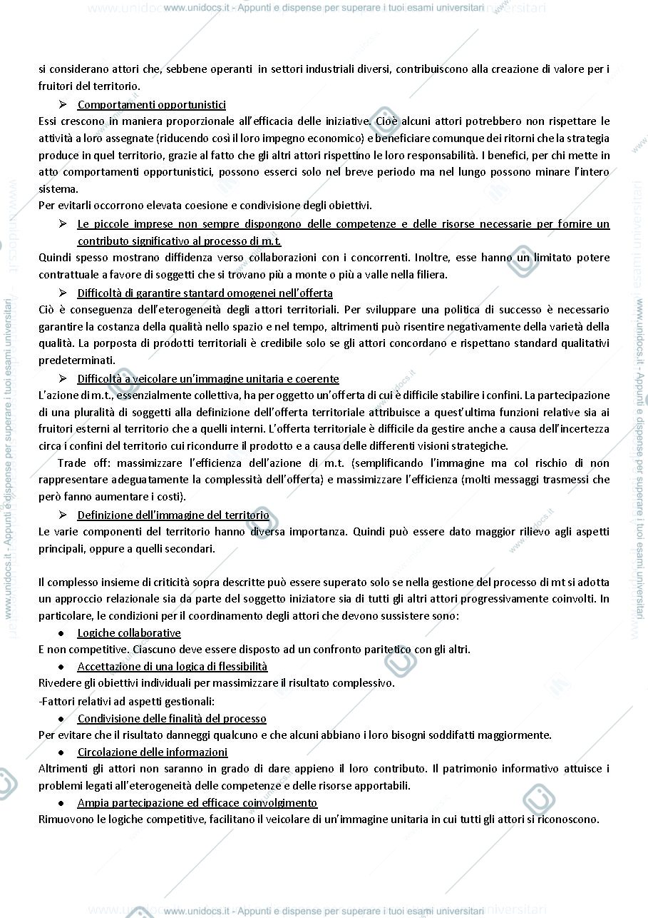 Anteprima pagina 4 — Marketing territoriale