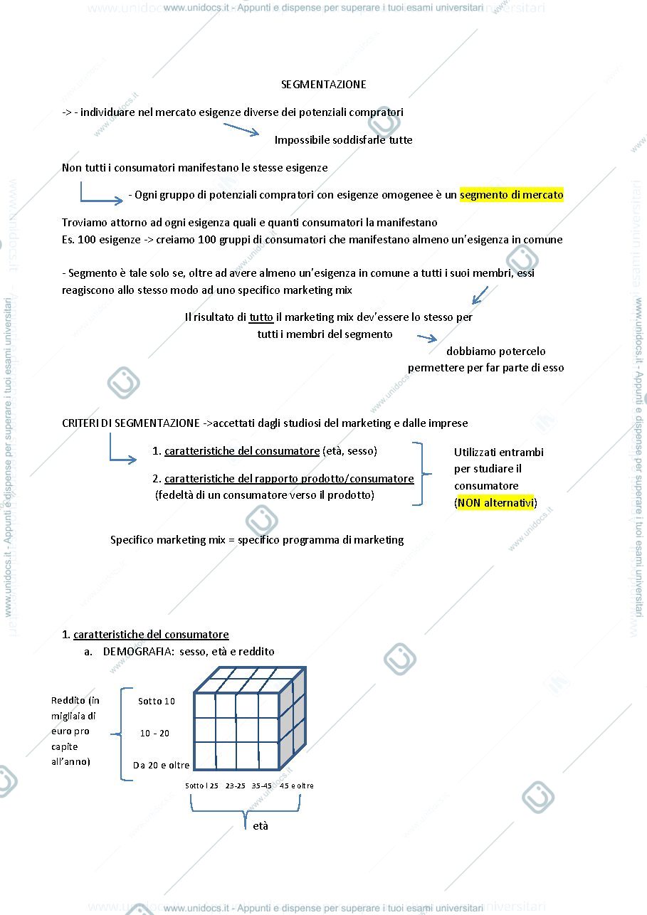 Anteprima pagina 1 — segmentazione del mercato