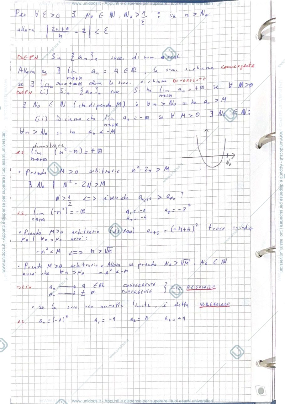 Anteprima pagina 3 — Successioni Limiti Landau