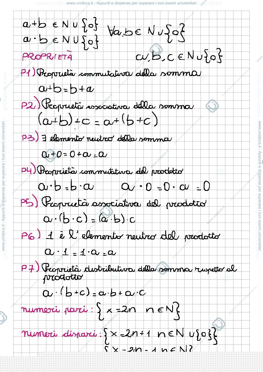 Anteprima pagina 2 — numeri naturali,interi e razionali