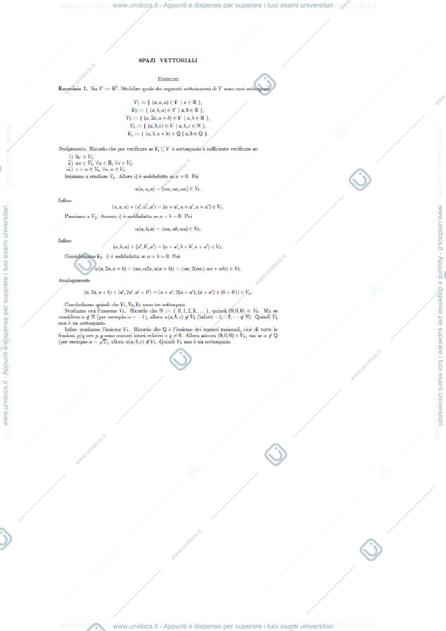 Anteprima pagina 1 — vettori sistemi