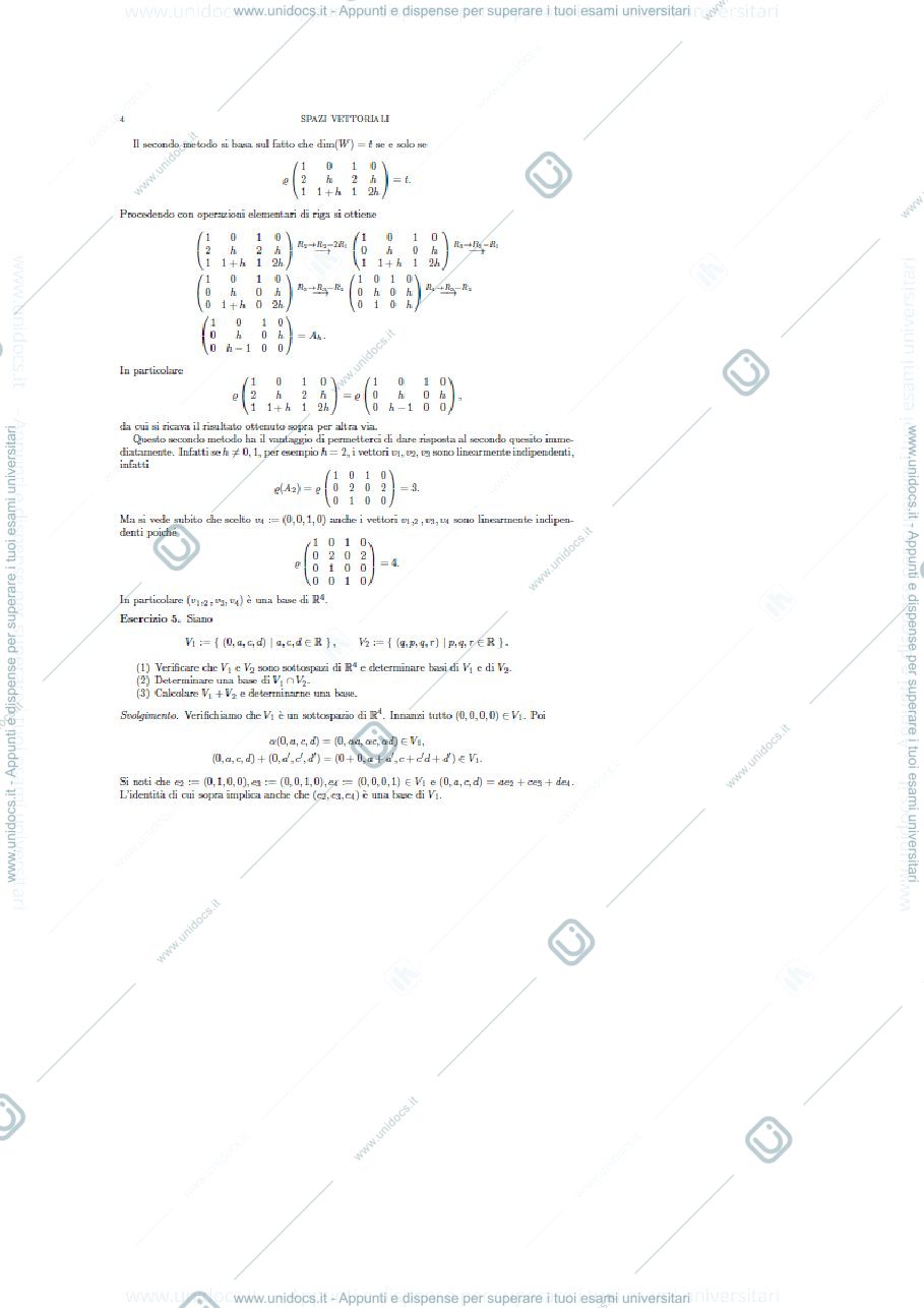 Anteprima pagina 1 — sistemi vettoriali