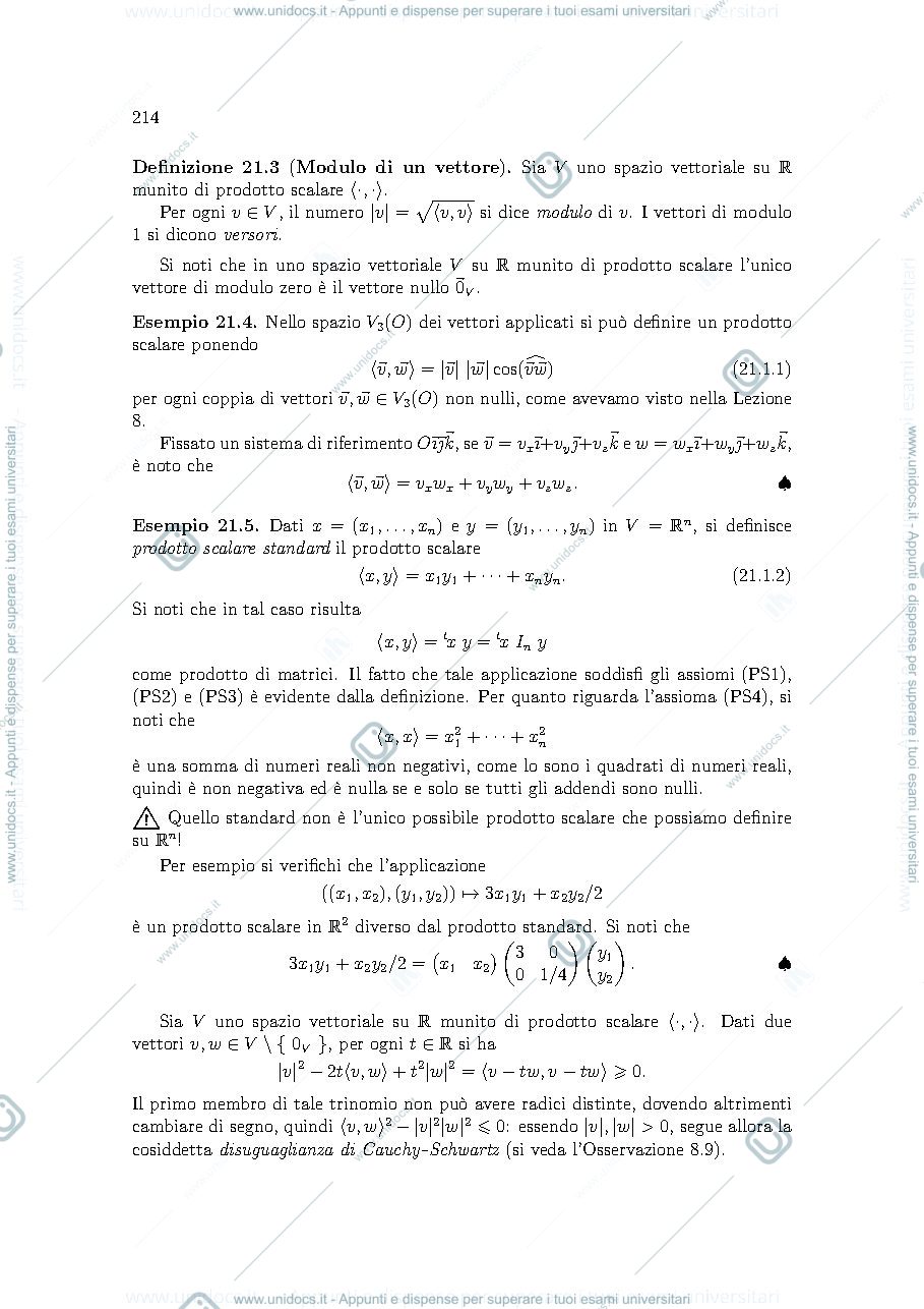 Anteprima pagina 2 — LEZIONE 21