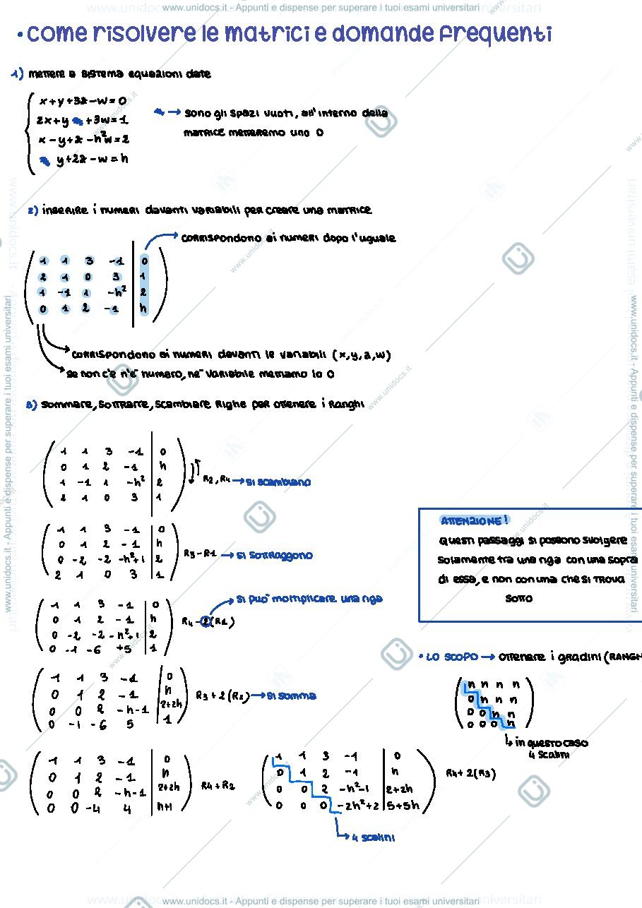 Anteprima pagina 1 — Matrici matematica