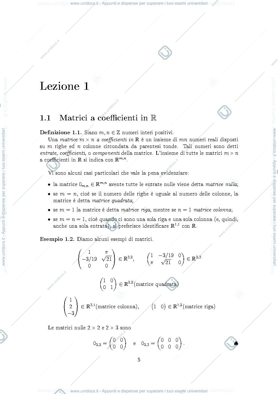 Anteprima pagina 1 — lezione 1